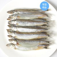 알이 꽉 찬 열빙어 (시사모, 시샤모) 500g