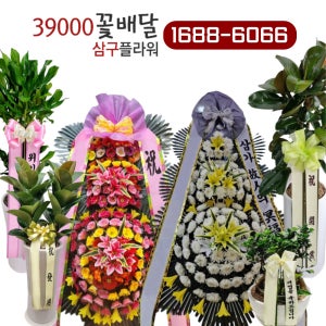 축하 결혼식장 개업화환 꽃배달 삼구 39플라워
