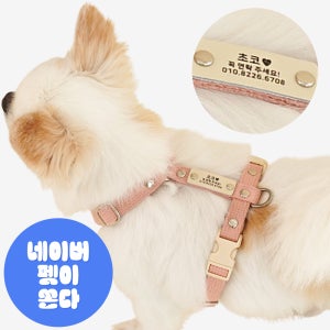 강아지 이름표 하네스 앞섬방지 H형 소형견 가슴줄 기본형 XS