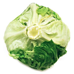채소랑 양상추, 신선한 양상추