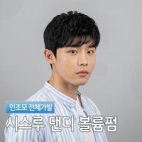 시스루 댄디 볼륨펌 스타일굿 남자머리 전체가발