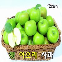 경북사과 햇 아오리 사과10kg 5kg [산지직송] 산들정