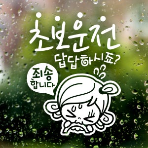 초보운전 자동차 안전운전 반사 스티커 차량스티커 초보답답 초순이