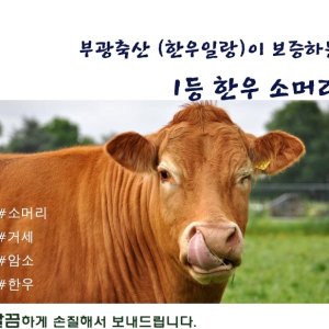 (배터짐) 업소용 삶은 한우 소머리 고기5kg천엽 우설 도가니 우족 사골 양지 잡뼈 도매