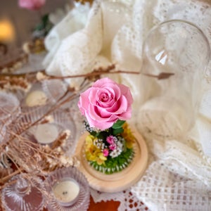 화이트데이 미녀와야수 로즈데이 프리저브드플라워 한송이 장미 유리돔 100일선물 무드등