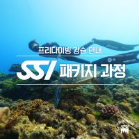 [프다몬 서울] 프리다이빙 1+2 패키지 자격증 과정 (한번에 해양까지/최소 4일)