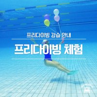 [프다몬 서울] 프리다이빙 체험 강습권(1회 , 2시간)
