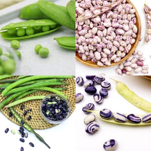 고소한 국내산 콩 모음전 완두콩 햇 강낭콩 백태 제비 청태 동부 호랑이콩 서리태 검은콩