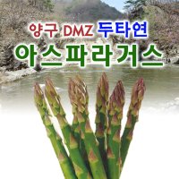 국내산 아스파라거스 강원도 양구에서 직접생산 1kg