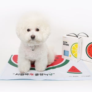 [런칭 기념 할인] 이츠독 아이스 쿨젤 매트 (수박)