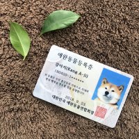 [포토카드] 애완동물등록증 / 동물카드 / 이벤트카드 / 선물카드