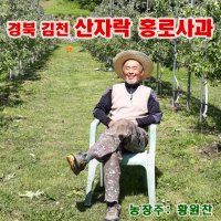 홍로사과 아기사과즙 50포