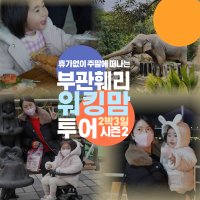 부관훼리 시모노세키 여행 부산 일본 배편 2박3일 워킹맘 패키지