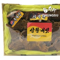 국내산 자연산 상황버섯 500g 선물세트