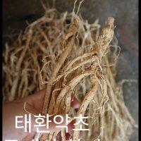 강원 영월 황기 600g