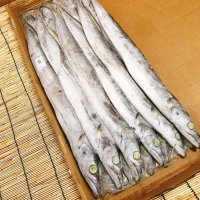 수입산 냉동 갈치 약8kg 400-500g 약15마리 도매/업소용 수입산 세네갈 특갈치