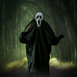 공포의 유령옷 / 좀비 코스프레 쇼핑몰 호러 축제 스크림 저승사자 유령의상 할로윈 코스튬