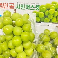 망고맛포도 특품 가정용 샤인머스켓 2KG 4KG내외