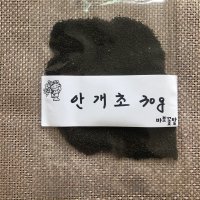 안개초 분홍 종자 30g