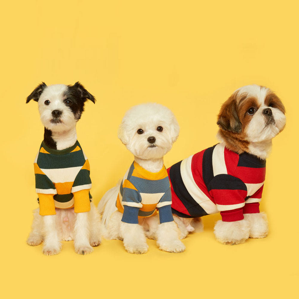 플로트 스탠다드 강아지 맨투맨 스트라이프 애견 티셔츠 봄 가을 옷