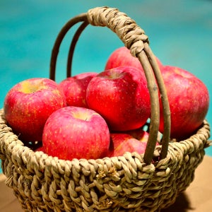 경남 거창 햇 부사 사과 꿀사과 선물세트 5kg