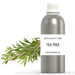 대용량 맑을담 아로마 티트리 에센셜 오일 1L