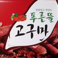 푸른뜰 나주 세척 햇밤고구마 못난이