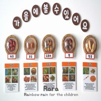 [라라(Rara)] 가을에볼수있어요 가을열매관찰 가을과학영역 가을환경구성 가을꾸미기