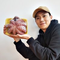 포항 손질 자숙 참 문어 1kg 2kg 죽도시장 활 생물 시세 피문어 돌문어 숙회 제수용