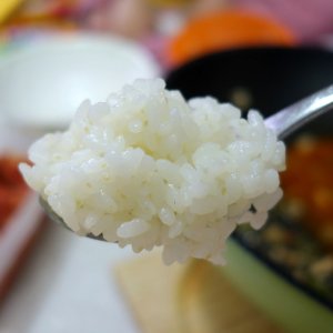 햅쌀 선물용 제수용 명절 설 추석 쌀 10kg 5kg