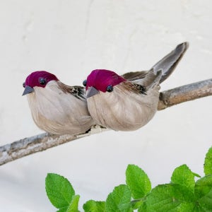 참새 모형 레드 2P SET 종달새 화단꾸미기 정원데코 장식