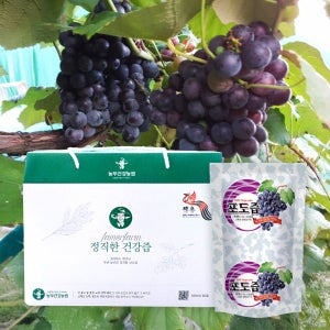 [국내산] 정직한 포도즙 포도생즙 100ml 50포 산지직송 진액