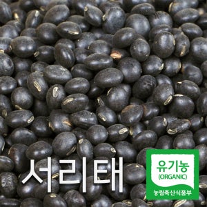 산들바람 2025년산 국내산 유기농 햇 서리태 500g