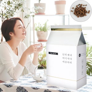 티내다 결명자차 효능 국산 볶은 HACCP 생분해 티백 100개입