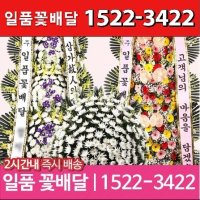 개업 010-9432-1226(연락24시365일) 결혼식장 축하 고양고양시 화환 전국당일배송3시간특급 근조장례식장꽃배달 천년컨벤션웨딩홀 일산컨벤션웨딩홀뷔페