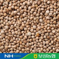 2022년 국산 들깨 통들깨 500g/1kg 보성농협 초록잎새