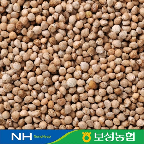 2025년 국산 들깨 통들깨 500g/1kg 보성농협 초록잎새