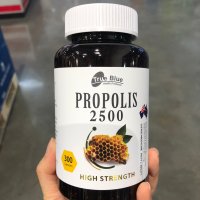 트루블루 TRUEBLUE 프로폴리스 PROPOLIS 2500 300정