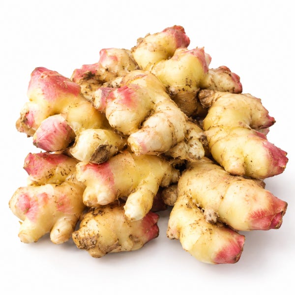 26년 수확 국산 생강 햇생강 세척생강 특상품 영주 봉화 1kg