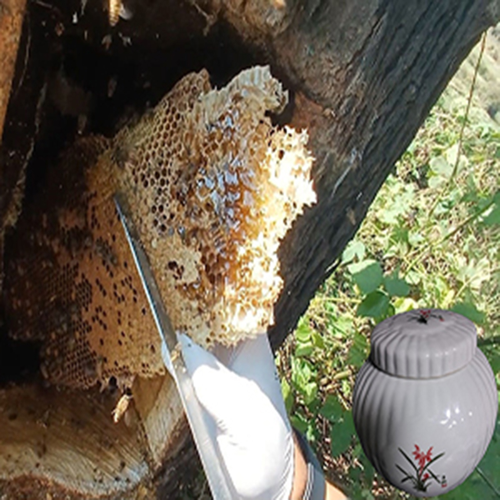 Hongcheon, Gangwon-do 100% Natural Local Honey 1.2kg Neulbom Farm Natural Wild Honeycomb Stone Honeycomb as is