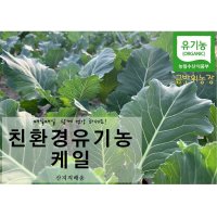 유기농 케일 쌈/즙용/쥬스용 천기누설에나온 독소배출왕 산지직배송