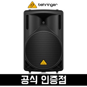 베링거 B215XL 1000W 2way 15인치 패시브 스피커 공연용 행사용 스피커
