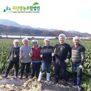 절임배추20kg 최저가 가성비상품