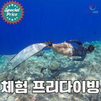 [다이브라이프] 알뜰 체험 프리다이빙 강습 /교육 서울,서초,강남 (체험 원데이 클래스)