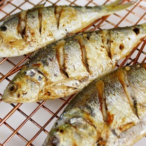 국내산 자연산전어(급냉)1kg(12~20미내외)