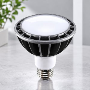 포유라이팅 PAR 30 LED 램프 15W 확산형