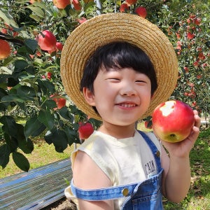 청송 달달 농원 홍로 빨간 햇사과 10kg