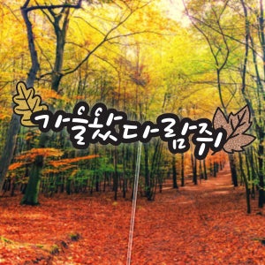 한글토퍼 52번 / 백양사 내장산 오대산 관광 여행 토퍼 등산 나들이 구경 단풍 컬러풀