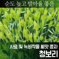 청보리 씨앗 사료작물 씨앗 1kg