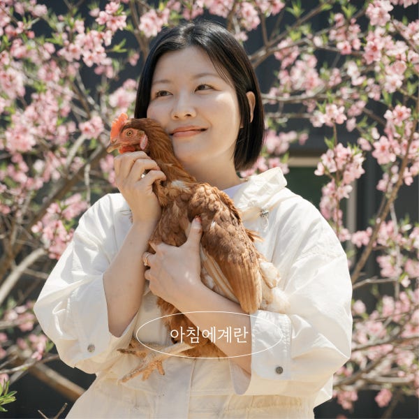 아침에계란 청춘이란 난각번호1번 발효곡물 먹은 자연방사 유정란 20구 40구 60구
